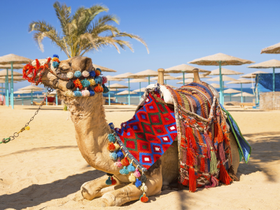 Горящий тур в Египет из Москвы на неделю за 38690 руб/чел.