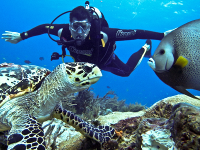 Летний тур в Таиланд из Москвы на неделю за 26330 руб/чел.