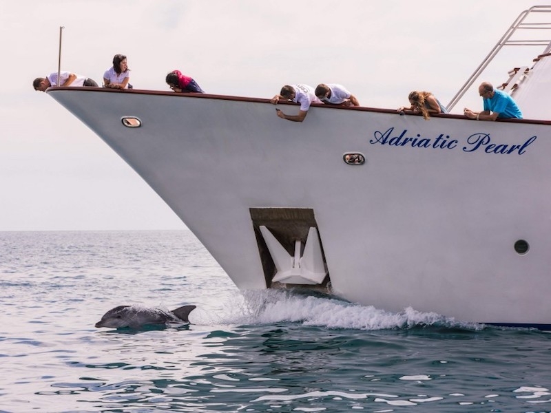 Бутик-круиз 7 ночей из Дубровника в Сплит в июне 2019г. на моторной яхте MS Adriatic Pearl за 2400€