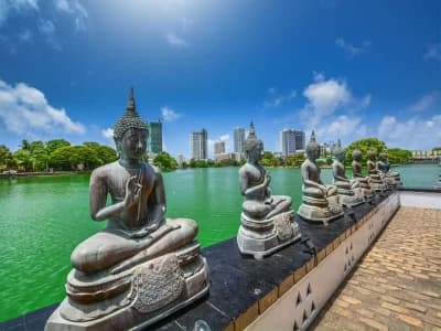 Авиабилеты на Шри-Ланку за 23 600 руб. туда-обратно в декабре