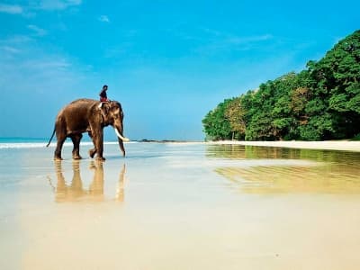 Тур В Гоа за 9700 руб. с человека 28 ноября и это и не шутка!