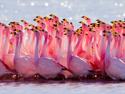 Горящие туры в Тунис за 6300 руб. на 7 ночей, 17 декабря