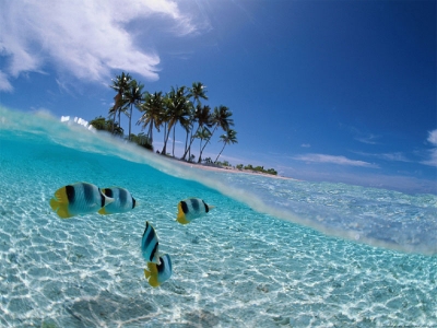 Отдых на Кубе. Вылет из Москвы завтра на 11 ночей за 44 370 руб.