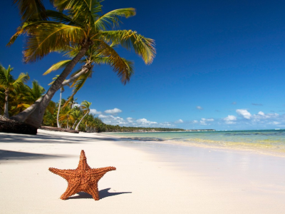 Вау! Тур в Доминикану на 11 ночей в мае за 58 222 руб/чел.