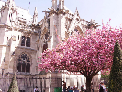 Дешевые авиабилеты из Вильнюса в Париж за 3045 руб. туда-обратно в апреле.