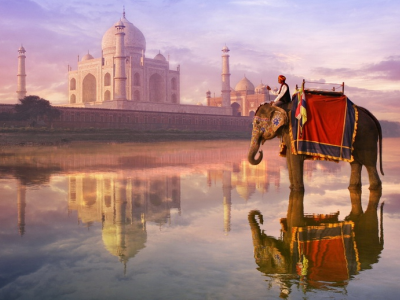 Чартерный рейс в Гоа из Москвы за 7360 руб. в марте в одну сторону.