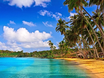 Тур в Индию на 16 марта из Москвы для двоих за 19095 руб/чел.