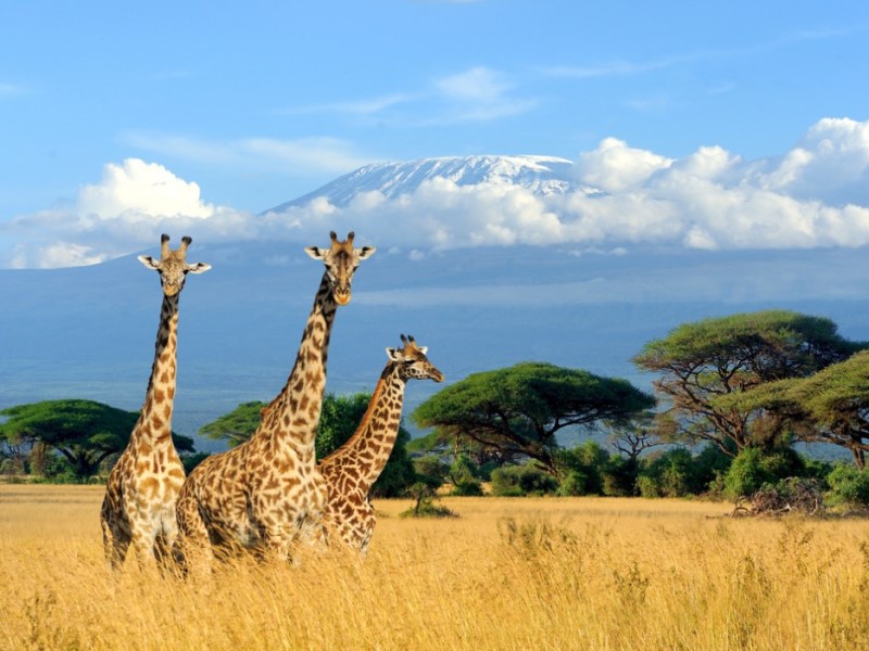 10 самых безопасных и красивых стран Африки