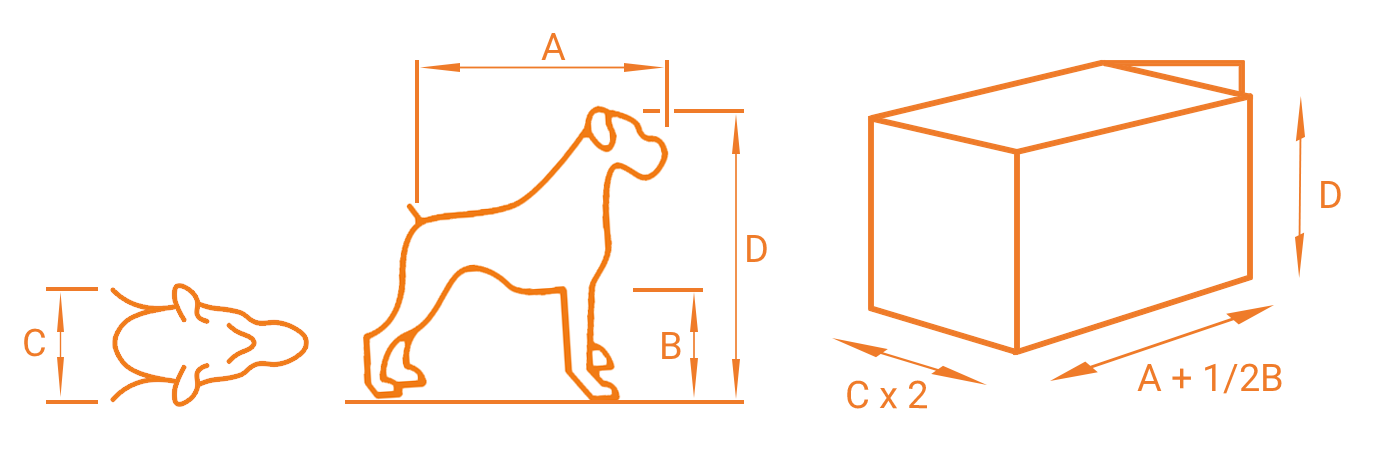 Размеры питомцы. Размеры животных. Размеры контейнера для перевозки животных. Параметры бигля ширина высота. Размер контейнера для перевозки животного в самолете.