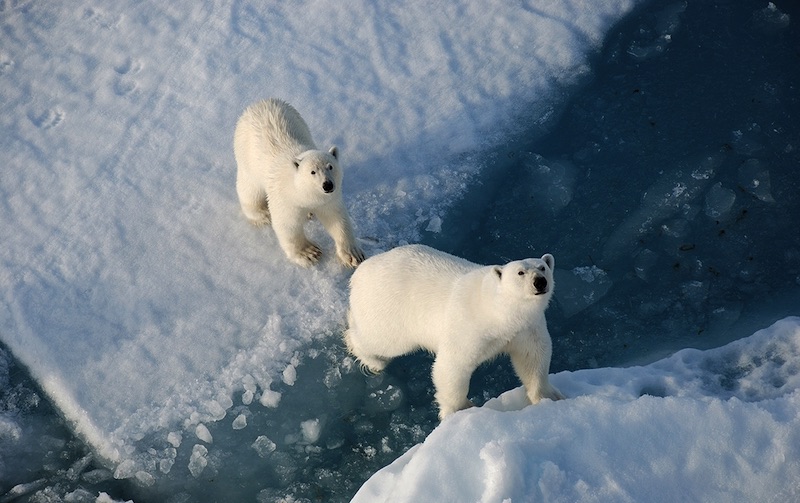 Открыт туристический сезон в Арктику